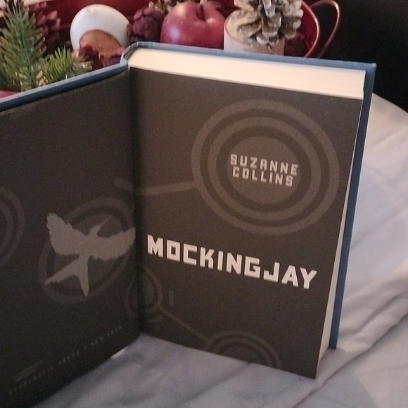 ⚜️ Catching Fire & Mockingjay - Picture 7 of 12